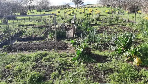 Almost Spring - view from our kitchen window